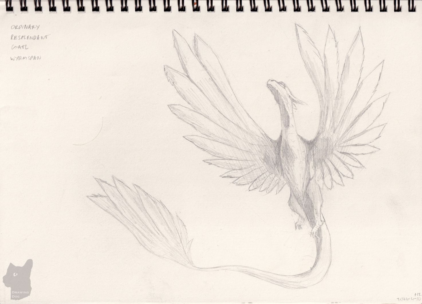 Pencil sketch of a winged, feathered dragon in flight