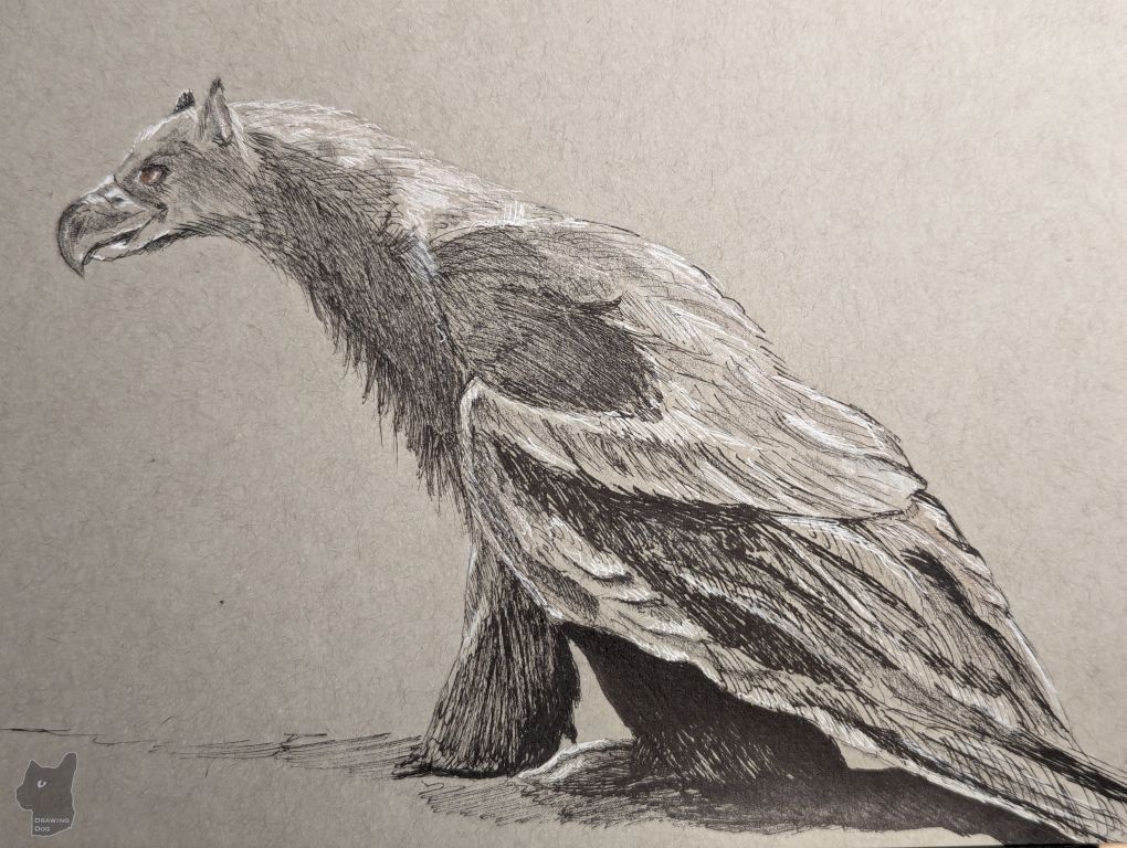 Ink sketch of a gryphon sitting on its haunches with wings partially unfurled