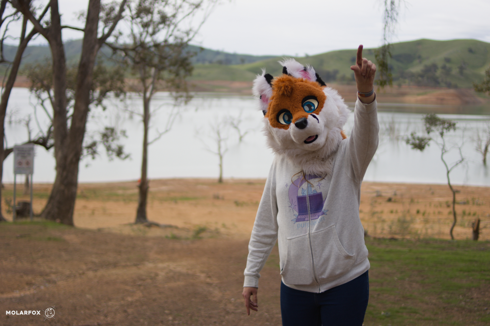 A red fox fursuiter in a partial fursuit (head only), xssfox, is in the foreground facing away from the viewer towards a fluffy tri-colour beagle (as in a literal beagle dog, not a fursuiter) laying down in his doggy bed, looking back at her. He has a bright red bandanna and is tied to a harness. In the background are various camping items in the forest setting, such as a large tent and a white ute.